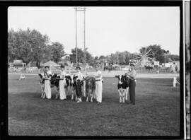 Galt Fair, Cambridge
