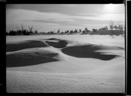 Snow Scenes