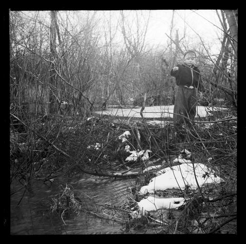 Original Digital object not accessible