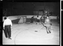 Hockey, Action, Siskins