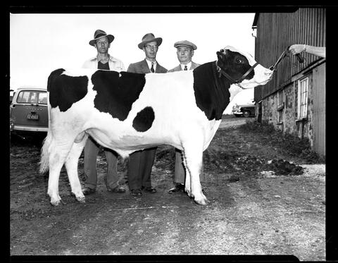 Original Digital object not accessible