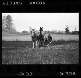 Mennonites Plowing