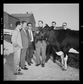 Korean Farmer Buyers