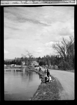 Ayr Dam (Jedburgh)