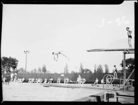 Kitchener swimming pool