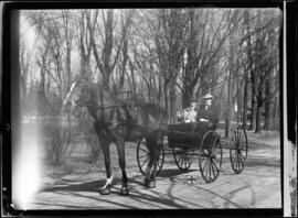 Horse and Buggy