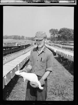 Mink Farm