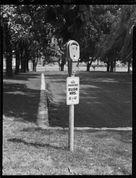 Parking Meter, Waterloo, 255 King St. N.