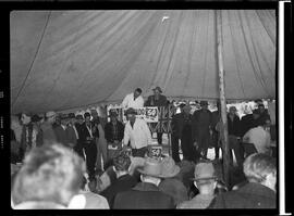 Yorkshire Sale, Galt
