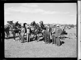 Holstein Fair