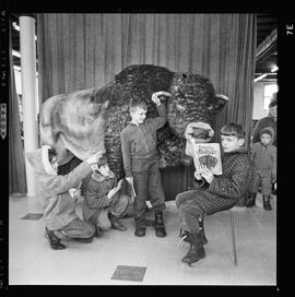 Buffalo Toy, Waterloo Library
