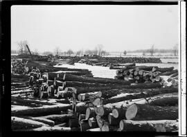 Luther Marsh Feature