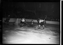 Hockey, Action, Siskins