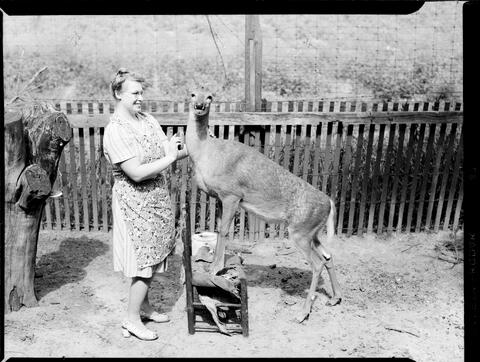 Original Digital object not accessible