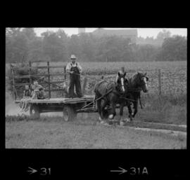 Mennonites