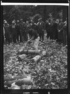 Forestry Field Day