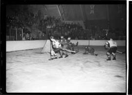 Hockey, Action, Siskins