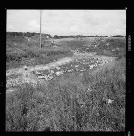 King St. E., Dried-Up Pond (Florence St.)