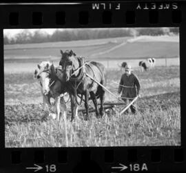 Mennonites Plowing