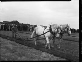 International plowing match