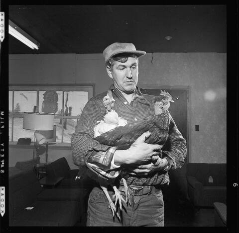 Original Digital object not accessible