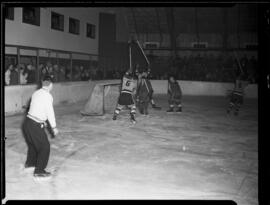 Hockey, Elmira Polar Kings Action