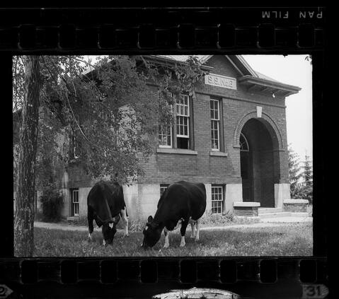 Original Digital object not accessible