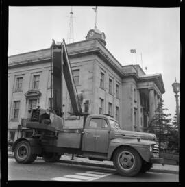 City Hall, Tree Removal