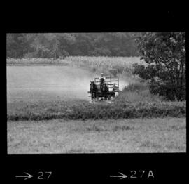 Mennonites
