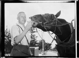 Horse and Ice cream Cone
