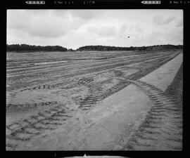 Budd Plant Construction