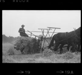 Mennonites