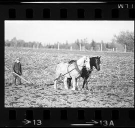 Mennonites Plowing