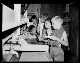 Camp Feature, Everton