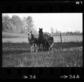 Mennonites Plowing