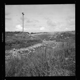 King St. E., Dried-Up Pond (Florence St.)