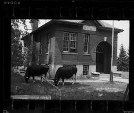 Natchez School S.S. No. 6 Closing