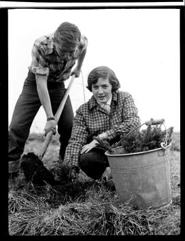 Central Dumfries Junior Farmers