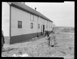 Waterloo, Seagram Stable