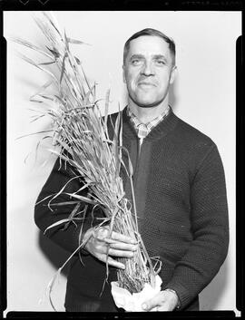 Chef, Harry, Second Crop